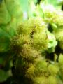2010 05 24 jeanmarcperfetti.com 022.JPG